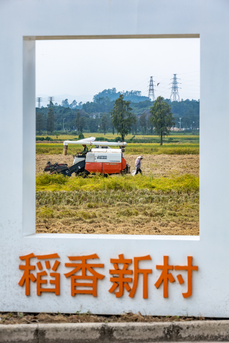 微信圖片_20231031124140.jpg
