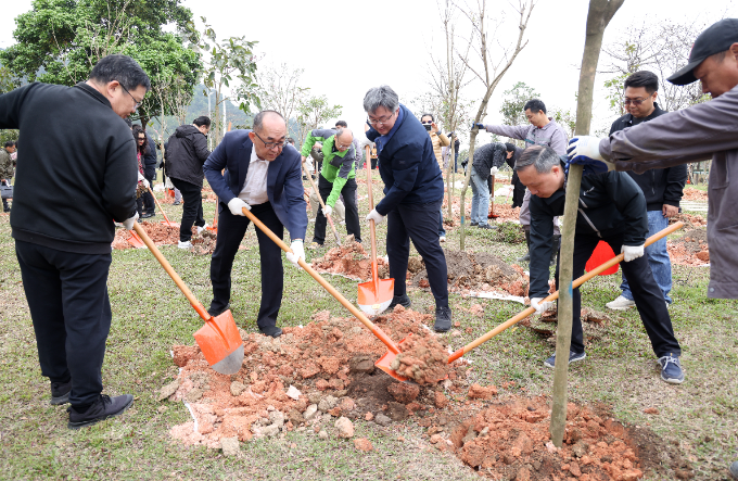 珠海：港澳臺僑共植“同心林” 助力綠美斗門生態(tài)建設(shè)